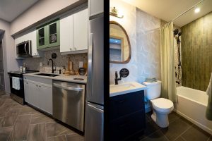 Elements-condo-interior-bathroom-kitchen-combo-1350x900